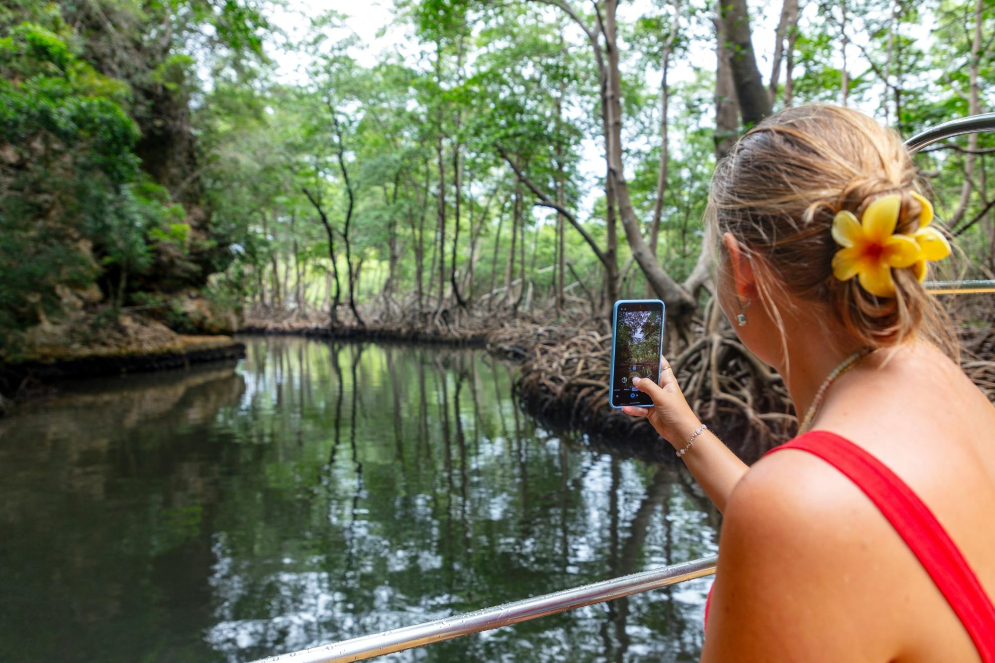 Los Haitises National Park full-day tour with beachside lunch