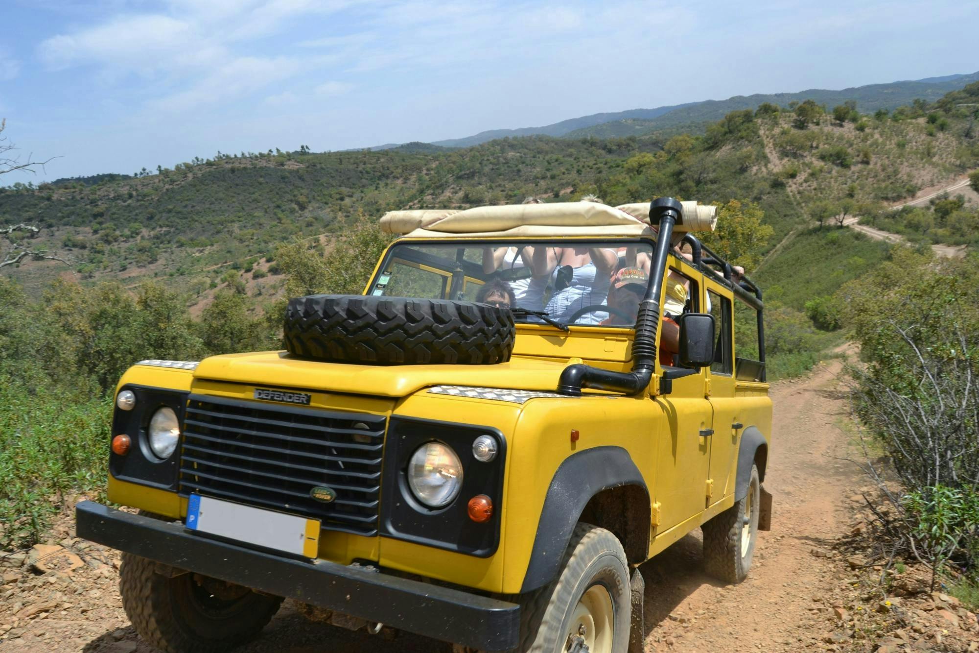 Private 4x4 off-road half day tour of Sintra with local guide