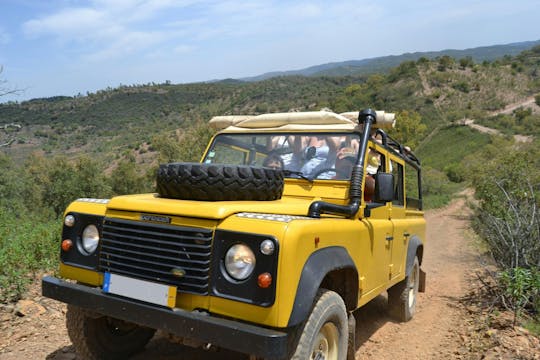 Private 4x4 off-road half day tour of Sintra with local guide