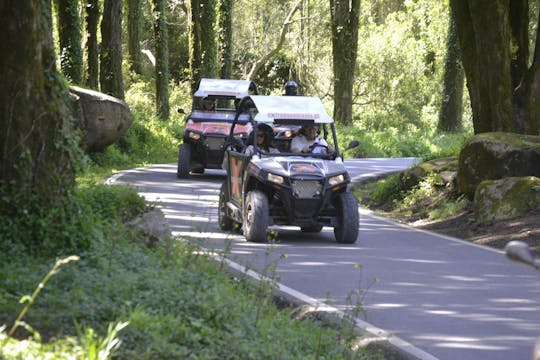 Buggy Sightseen Ride in Sintra and Cassis Coastline