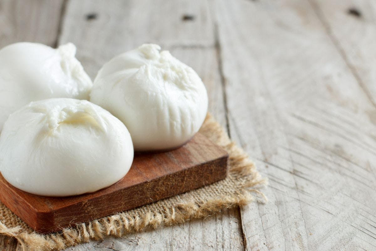 Farm tour and mozzarella making experience near Ostuni