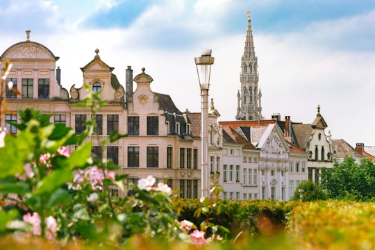Navigate Brussels's most Insta-perfect spots with a local