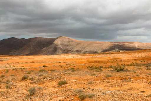 Small-group afternoon tour of northern Fuerteventura