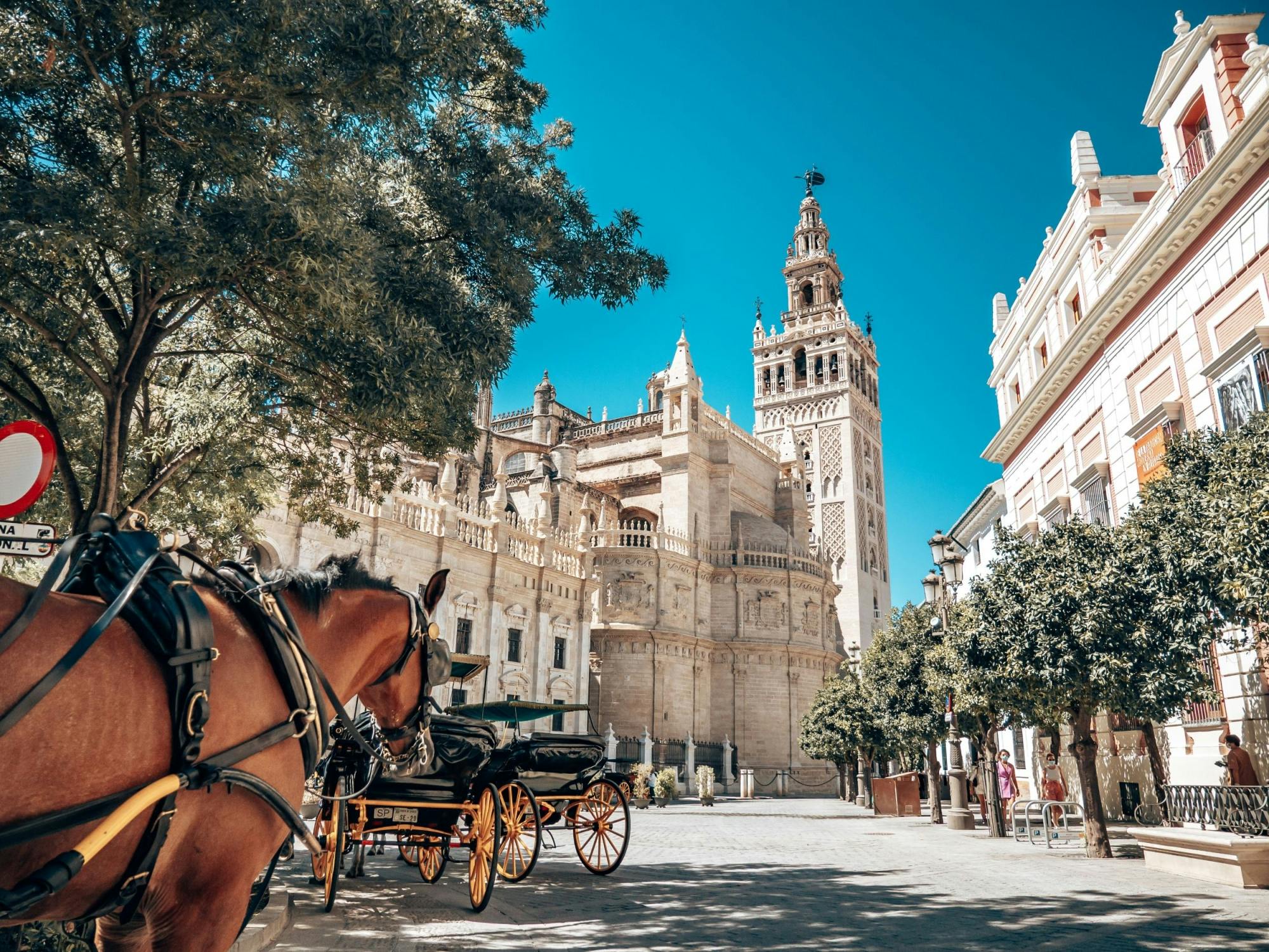 Tagestour nach Sevilla ab Estepona mit optionalem Eintrittsticket für die Kathedrale