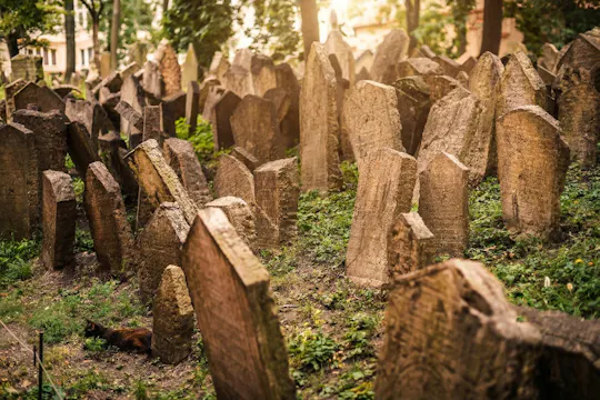 Tour a piedi del quartiere ebraico di Praga con biglietti per il Museo ebraico