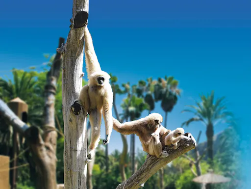 Aqualand & Palmitos Park Ticket Package