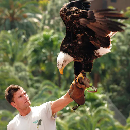 Aqualand & Palmitos Park Ticket Package