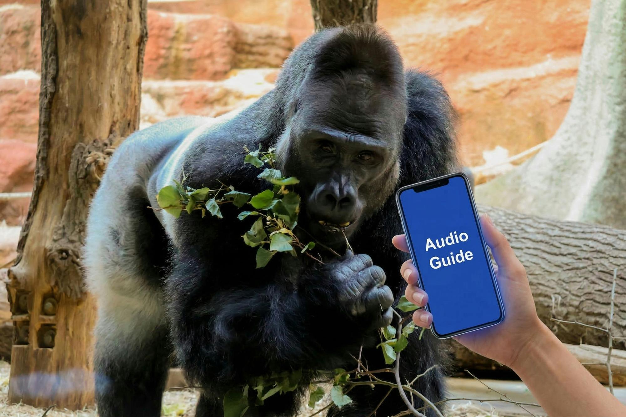 Self-guided online audio tour of Prague Zoo