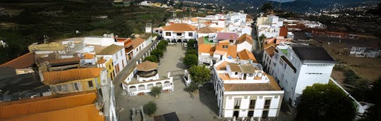 Visita ao mercado dominical de Santa Brígida, San Mateo e Teror