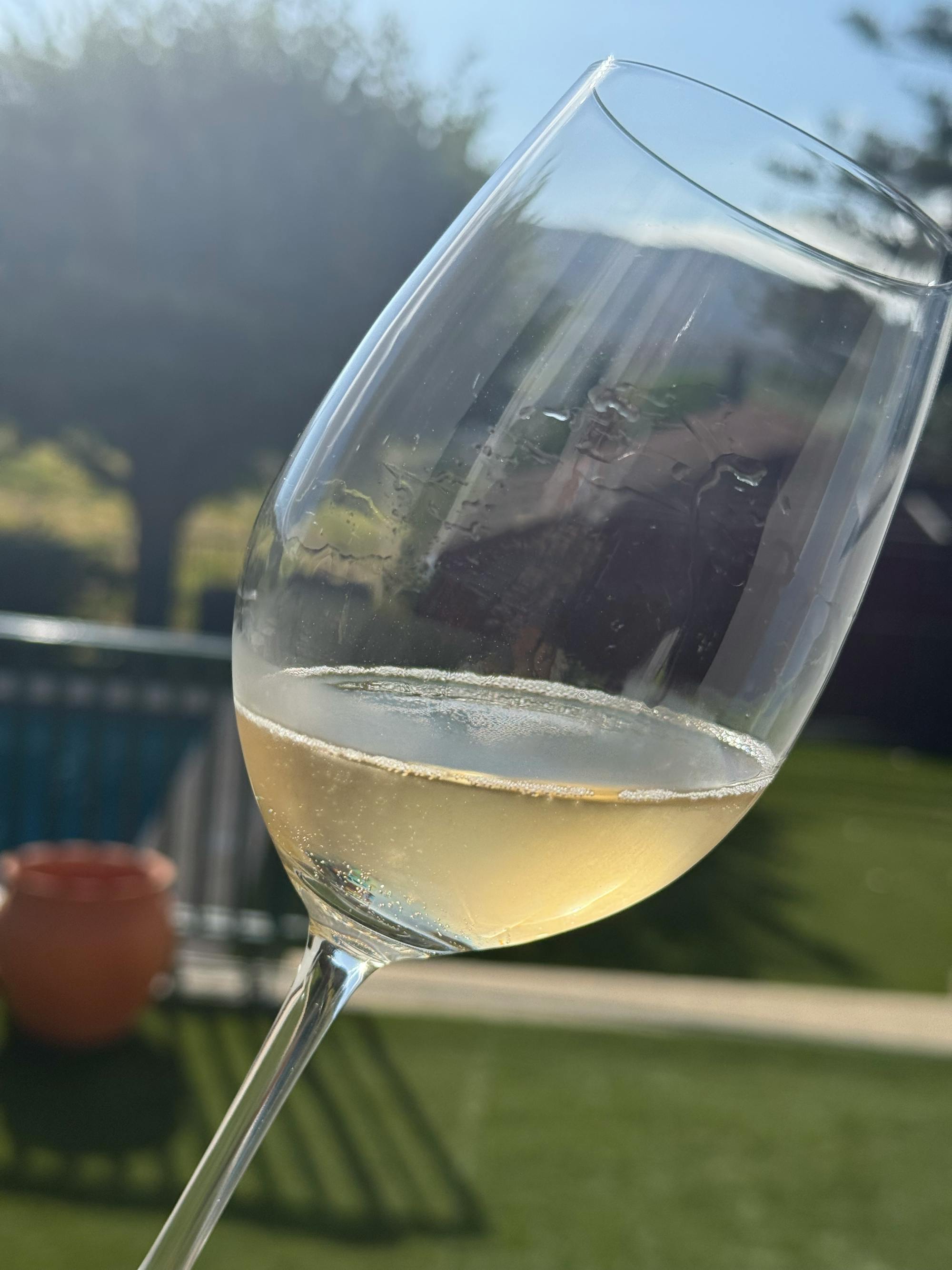 Wine Tasting at Quinta dos Novais in Douro Valley