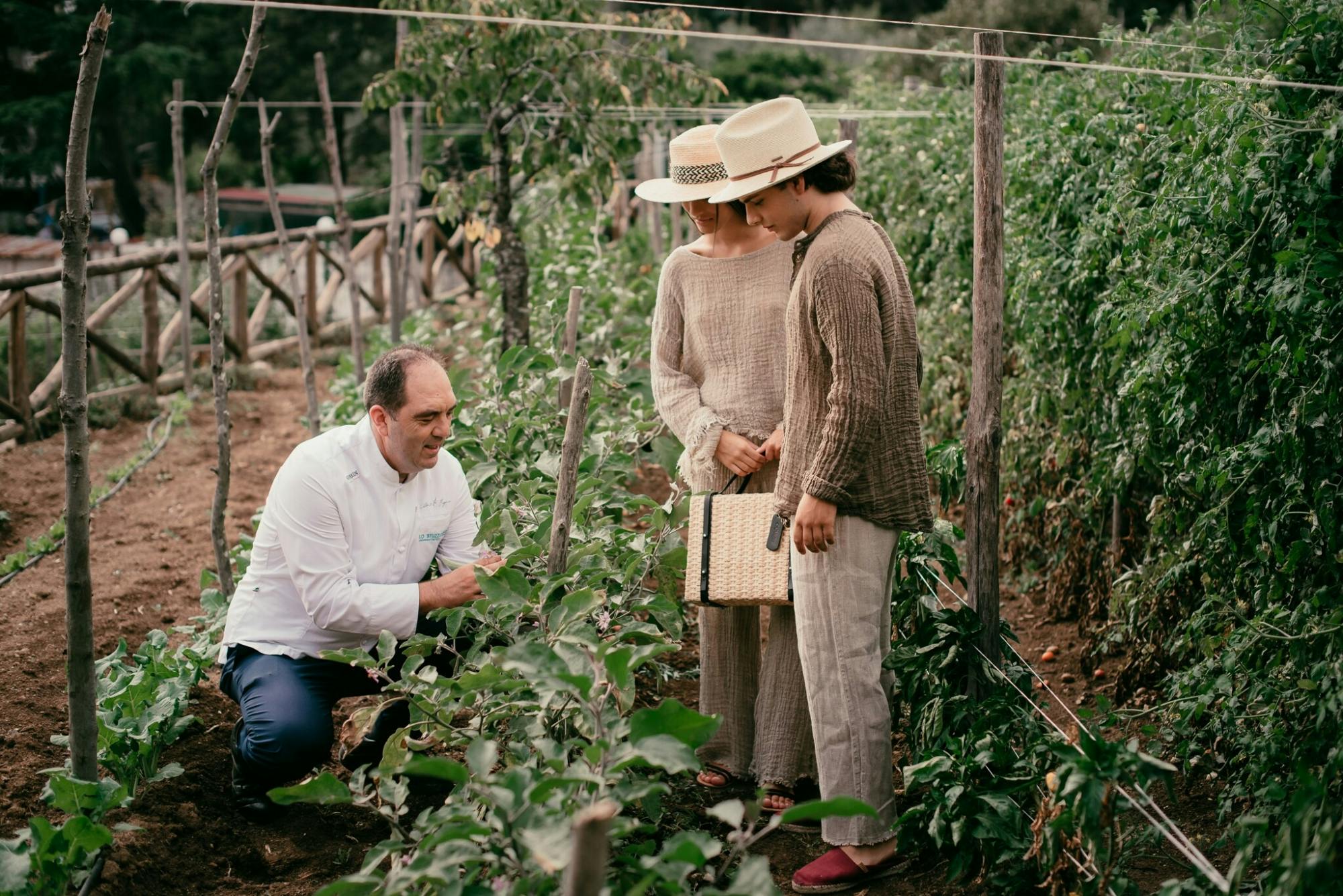 Field to fork: Sorrento Hills Cooking School with a local chef