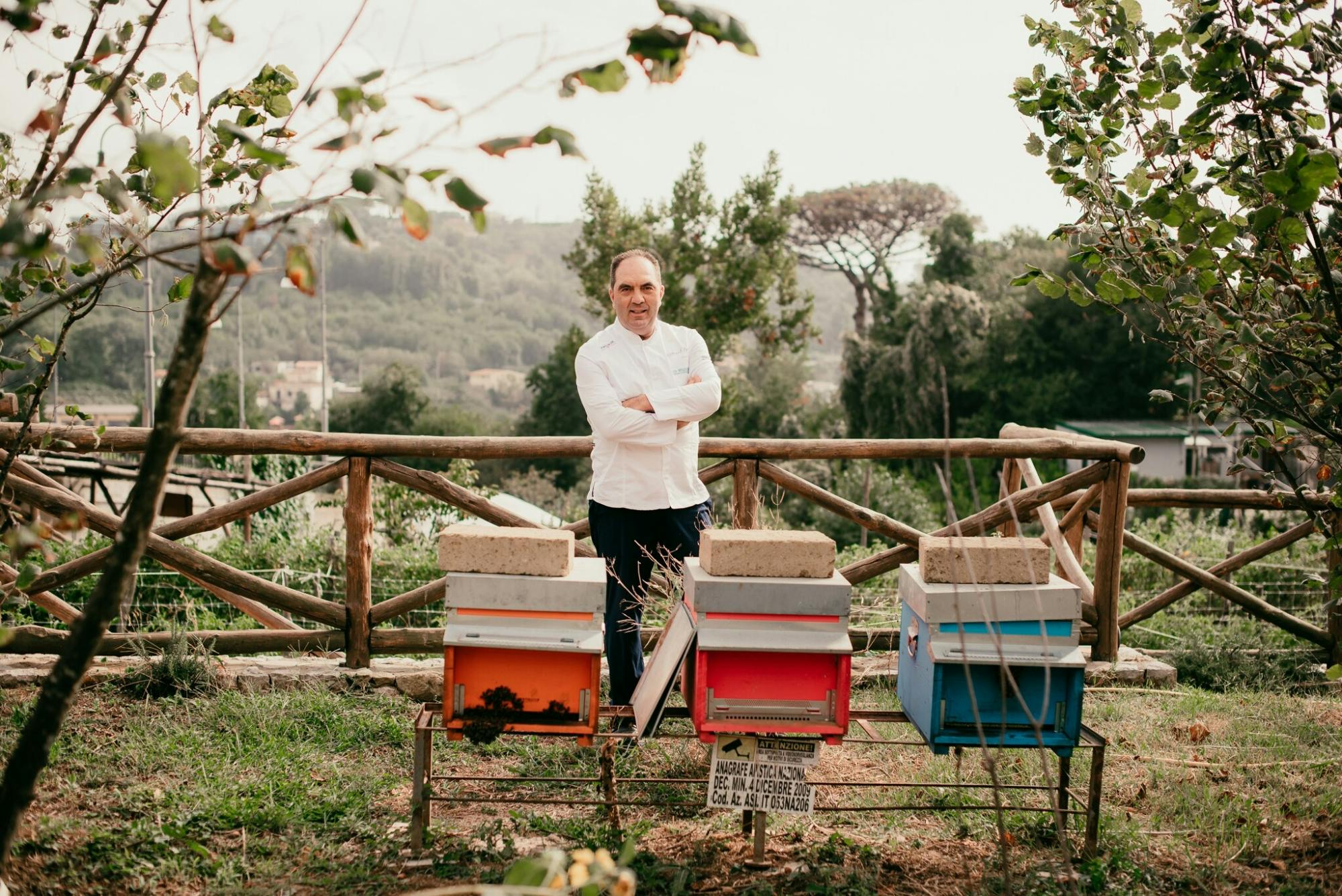 Field to fork: Sorrento Hills Cooking School with a local chef