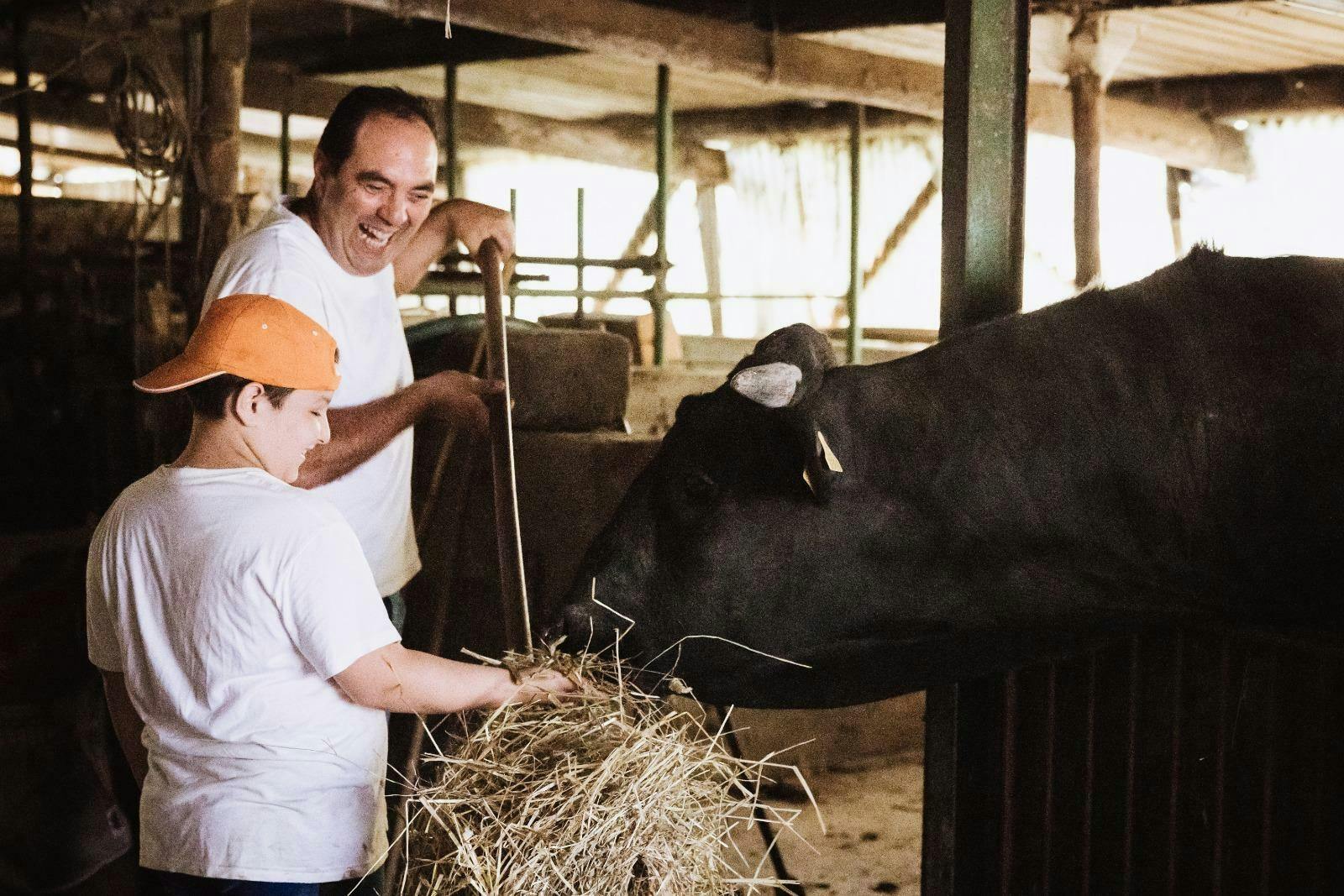 Field to fork: Sorrento Hills Cooking School with a local chef