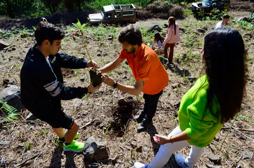 Madeira 4x4 tour with ecological park visit and local tastings