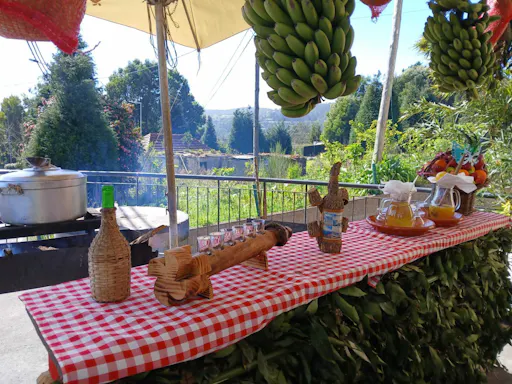 Madeira 4x4 tour with ecological park visit and local tastings