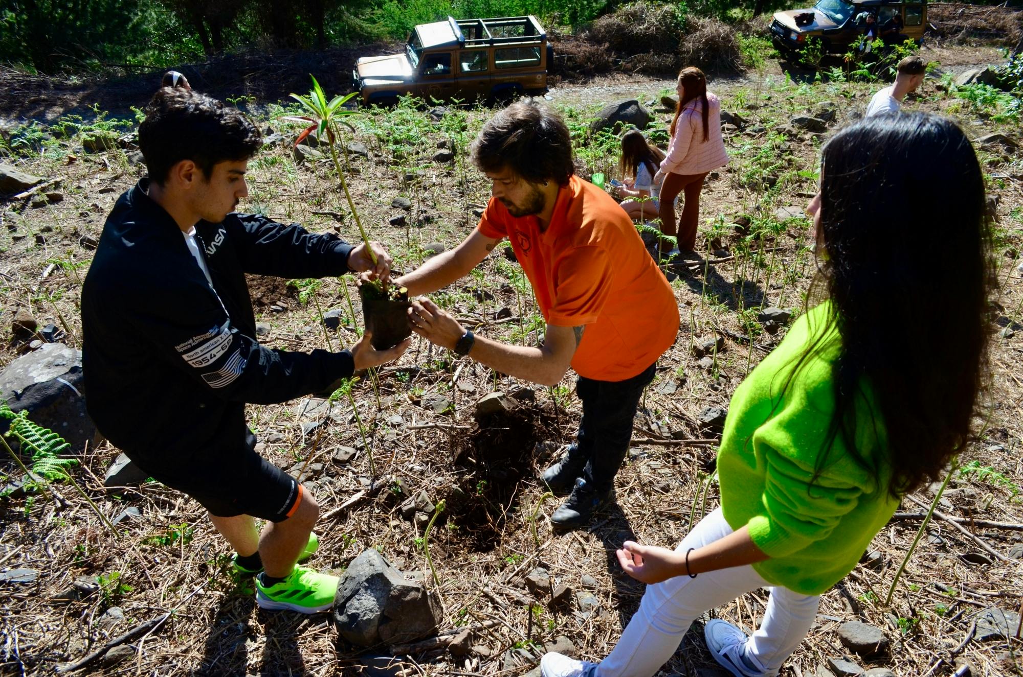Madeira 4x4 tour with ecological park visit and local tastings