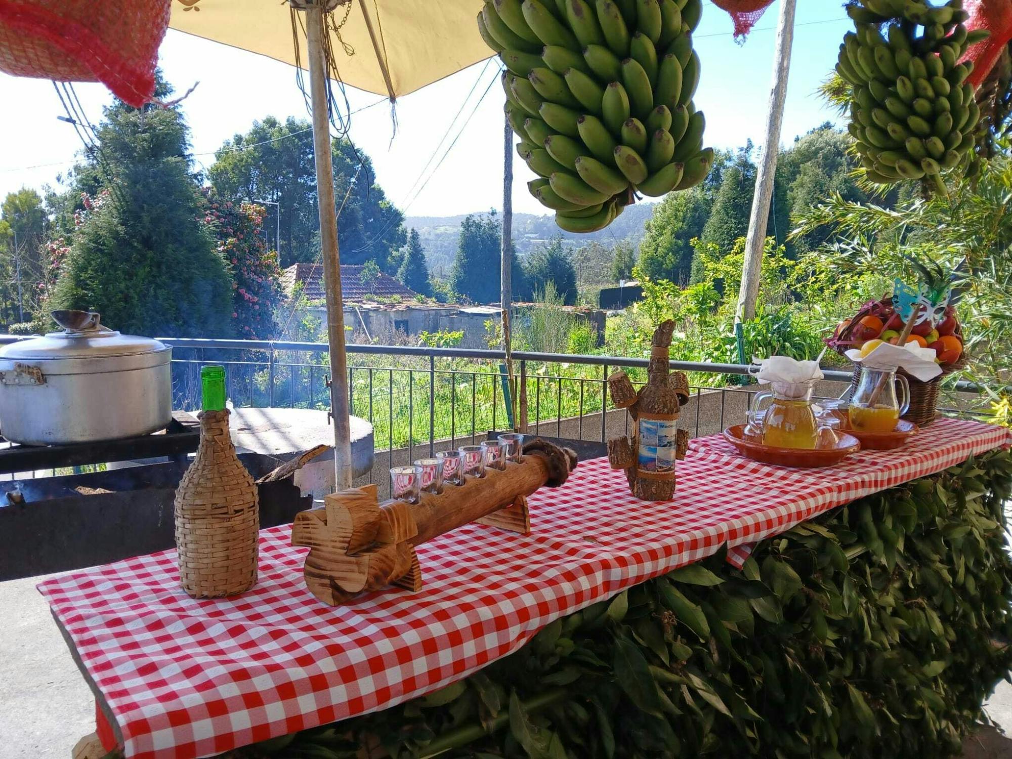 Madeira 4x4 tour with ecological park visit and local tastings