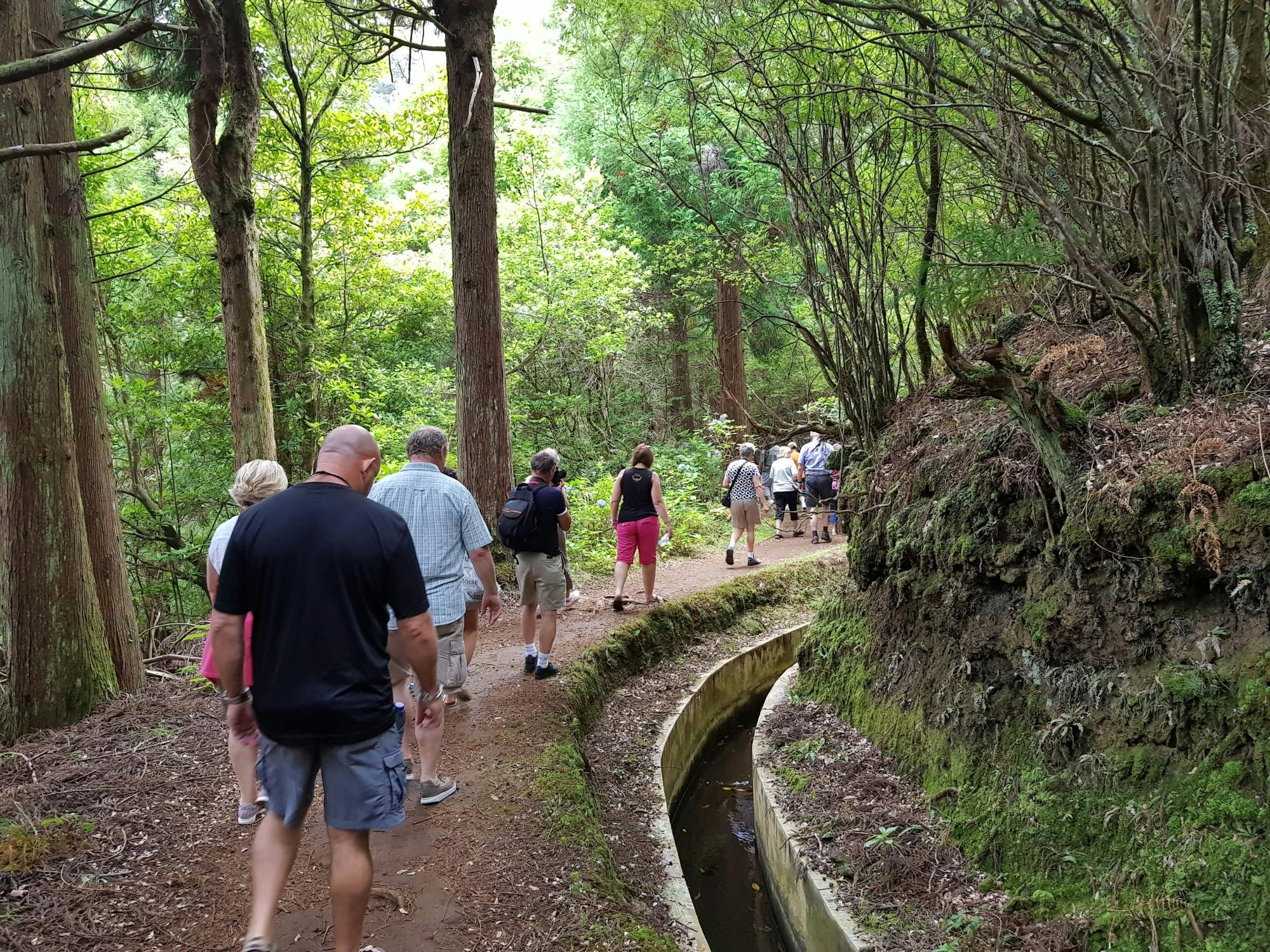Madeira 4x4 tour with ecological park visit and local tastings