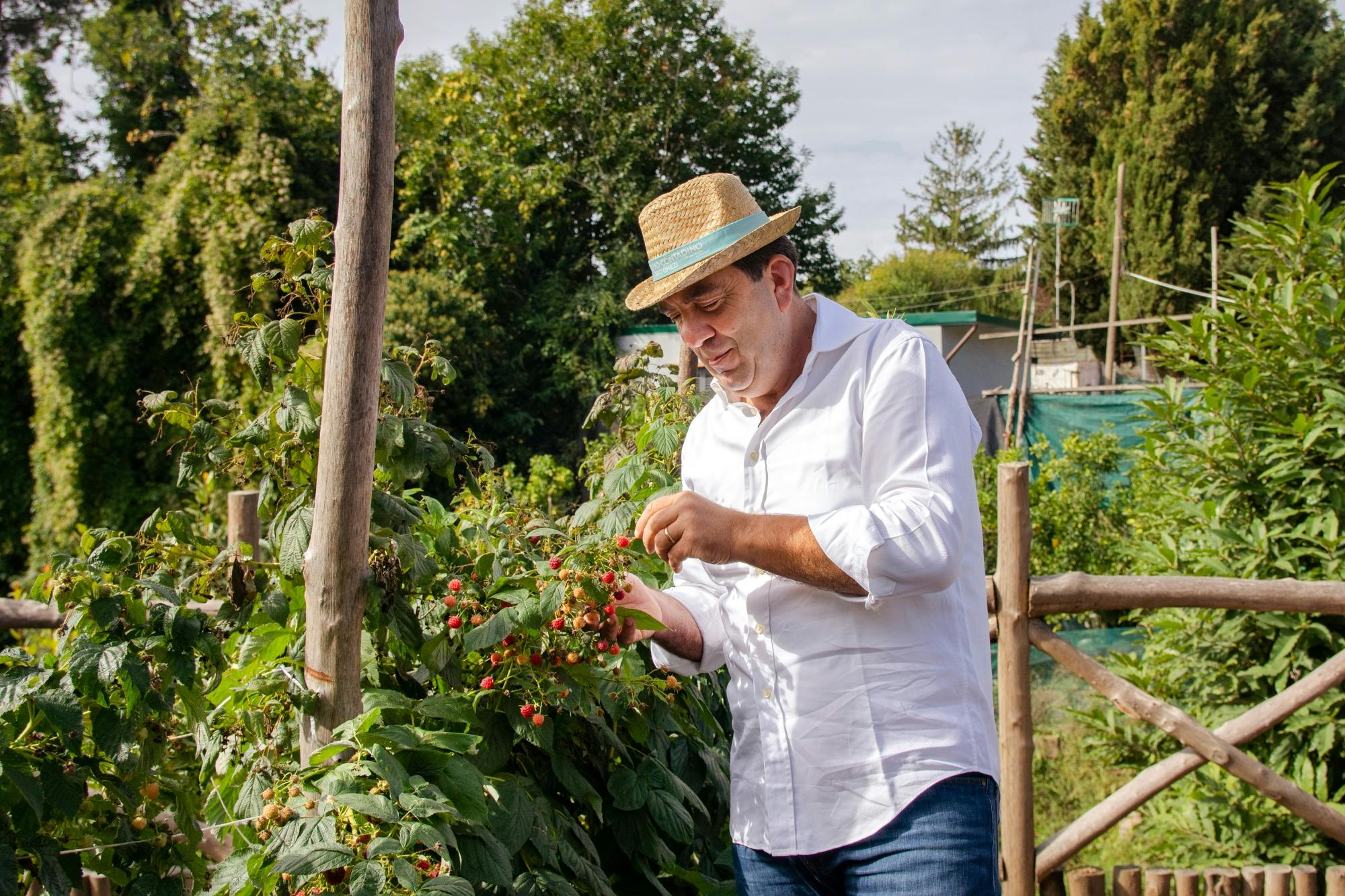 Field to fork: Sorrento Hills Cooking School with a local chef