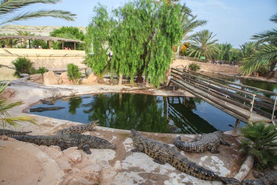 Djerba island tour with crocodile farm