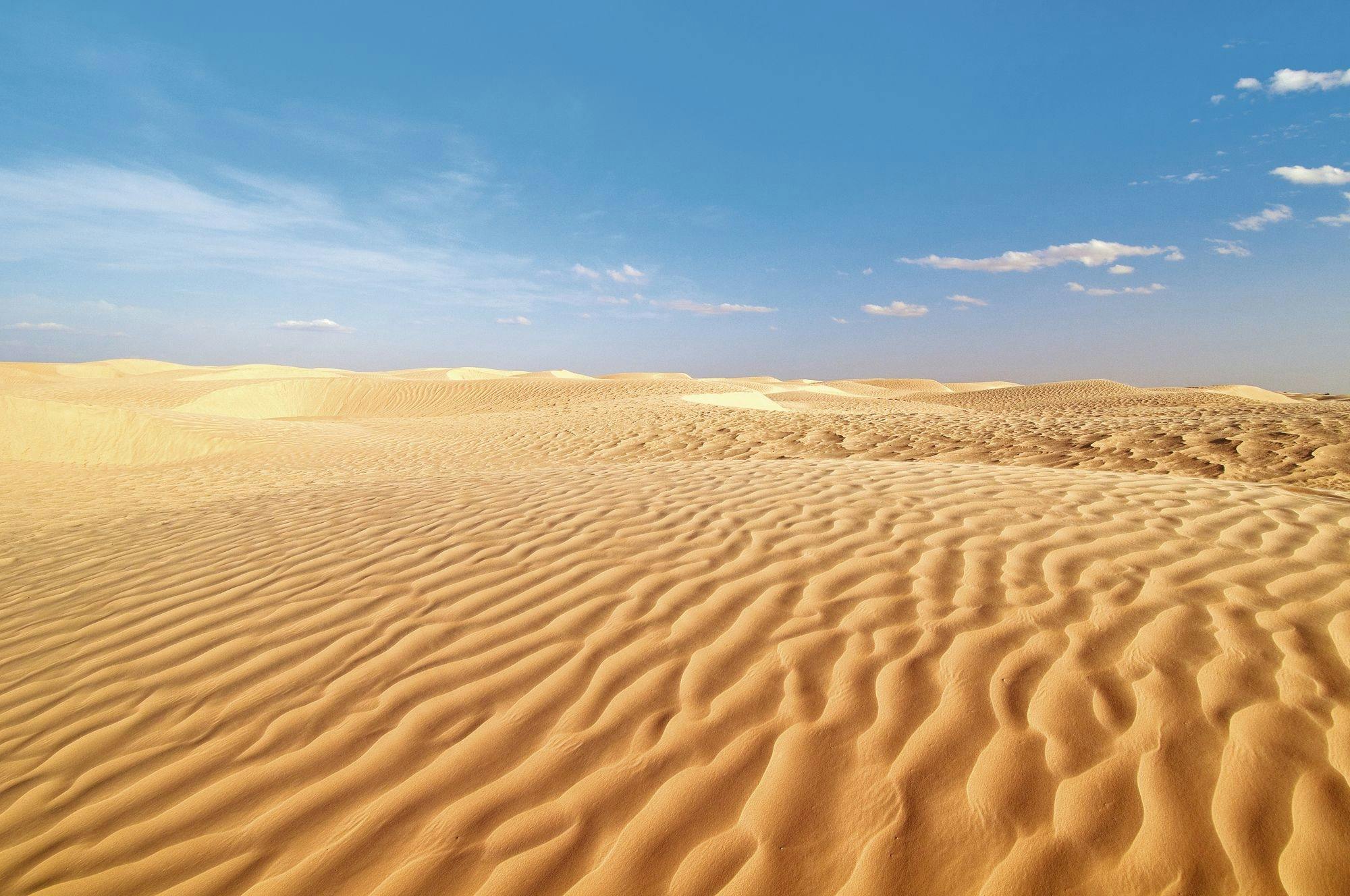 Tunisian Sahara villages and oasis overnight tour