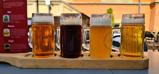 The beer route in Wrocław guided tour
