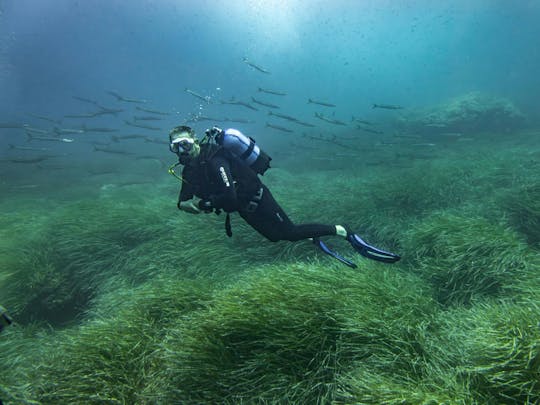 Curso de mergulho de 1 dia SSI em Mallorca