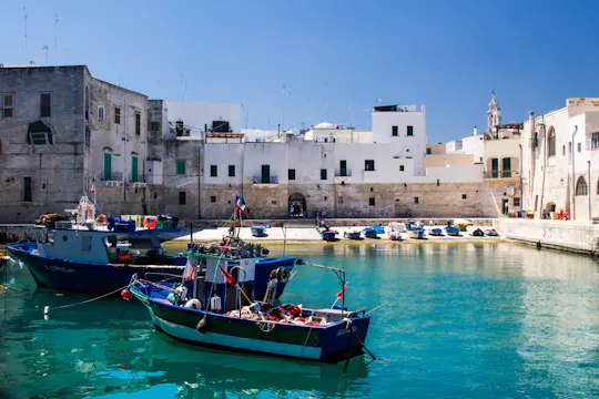 Rondleiding door Monopoli en Alberobello vanuit Bari