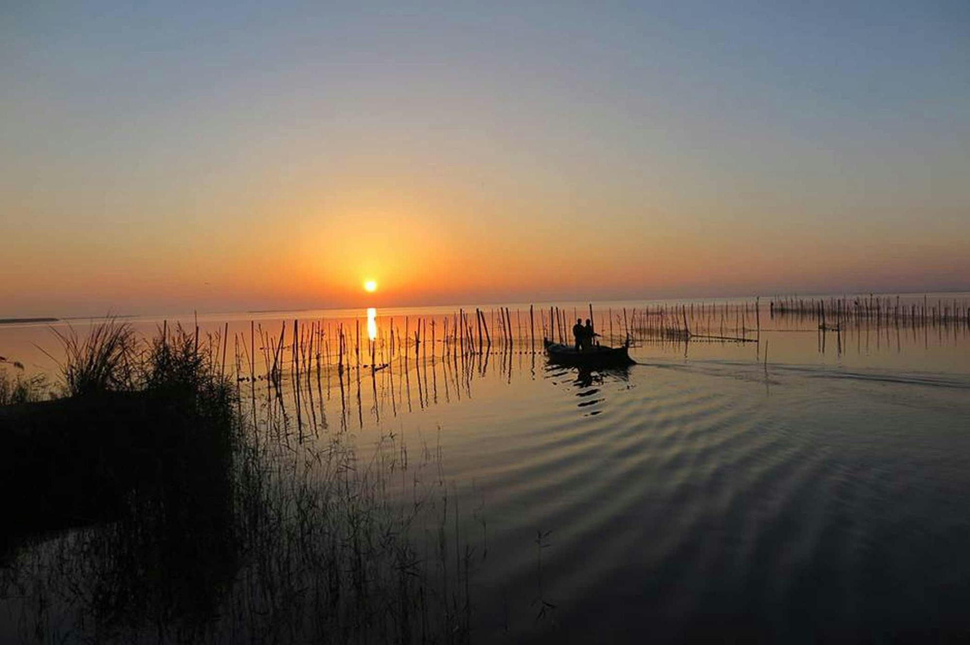 Excursion en bateau à la découverte de la faune et de la flore de l'Albufera avec repas inclus
