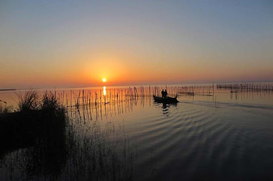 Bootstour durch die Natur der Albufera mit Mahlzeit