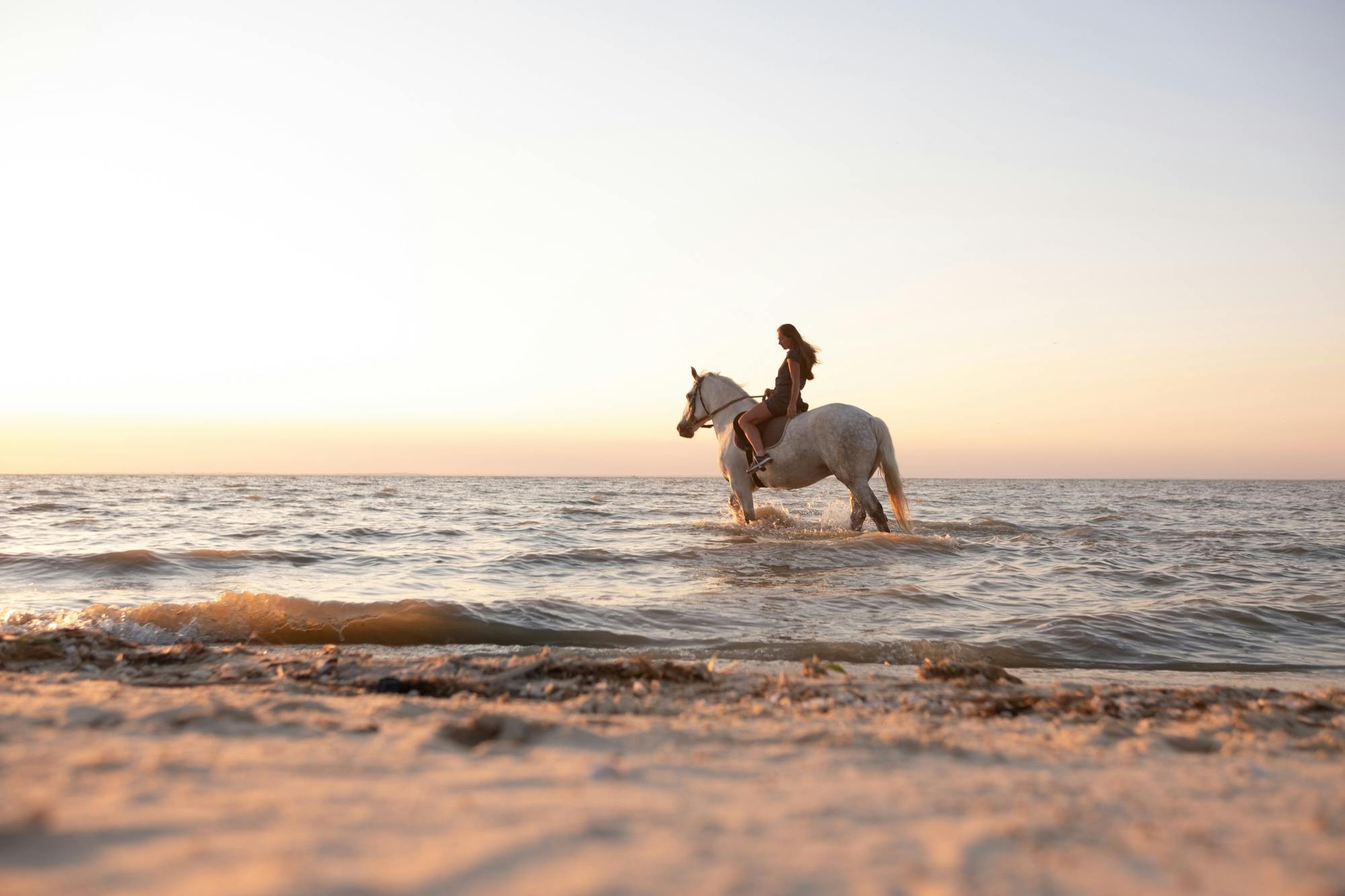 Santorini horseback ride and wine-tasting private experience