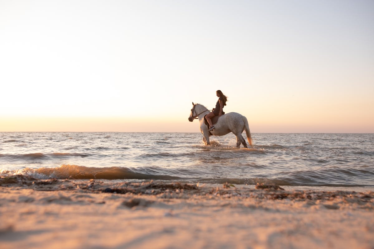 Privérij te paard op Santorini en wijnproeven
