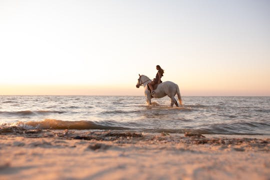 Santorini horseback ride and wine-tasting private experience