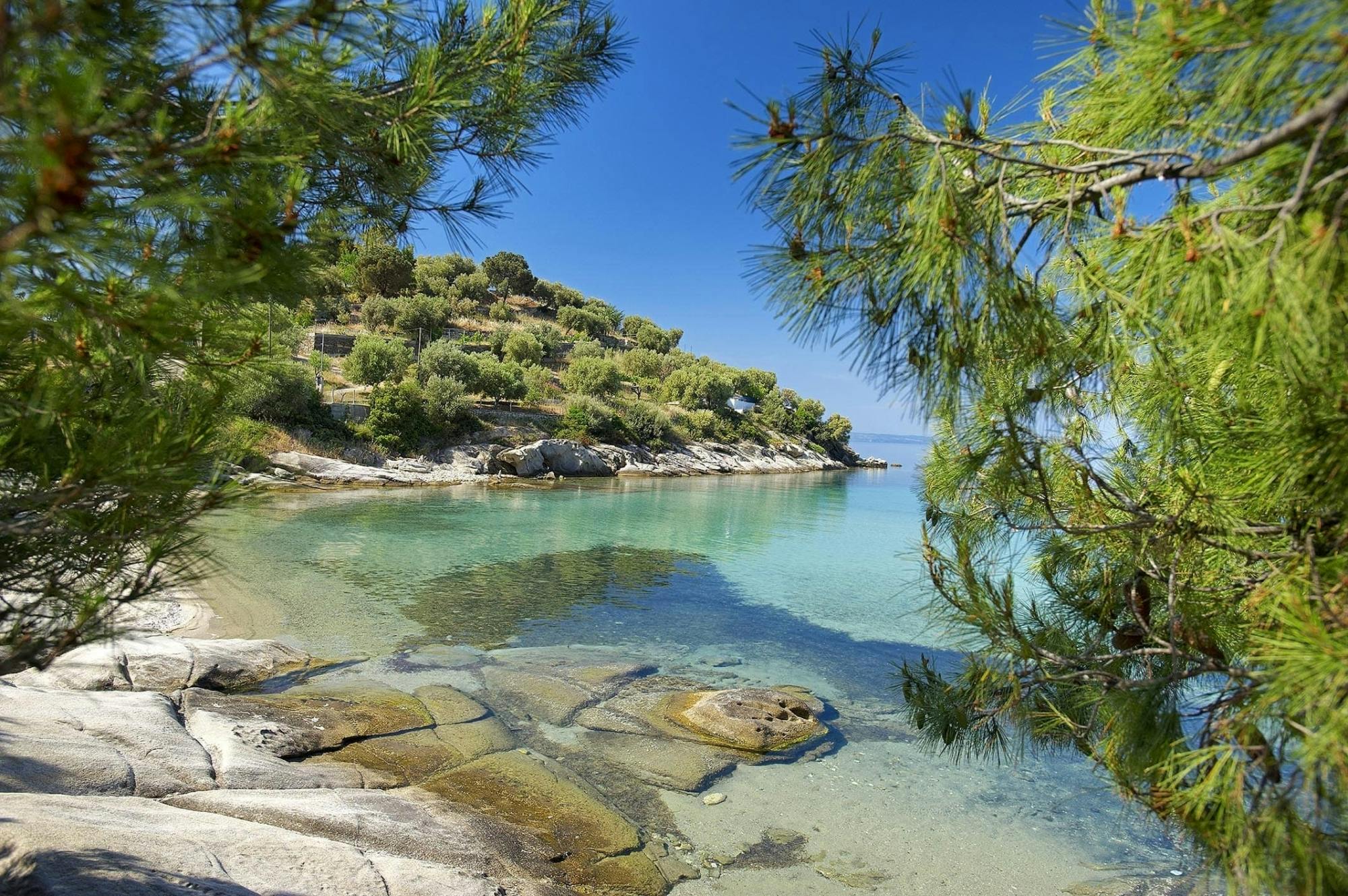 Halkidiki boat trip with Neos Marmaras visit, swimming and lunch