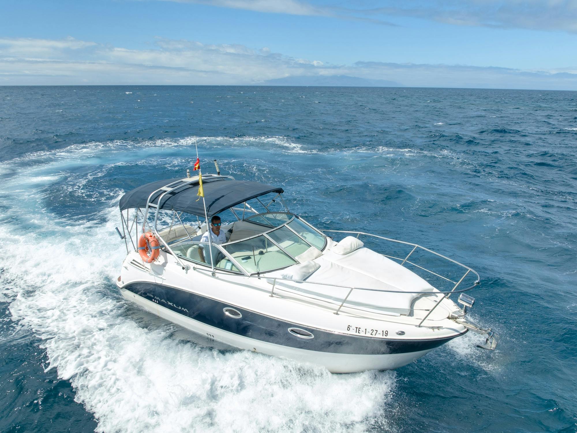 Small-group cruise in Tenerife