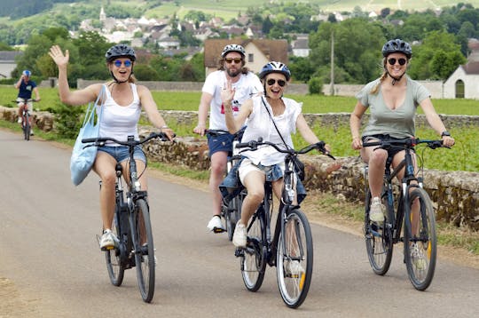 Half-day bike and wine tour in Côte de Beaune