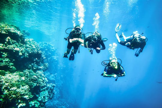 Einführung in das Tauchen auf der Isola Ruja