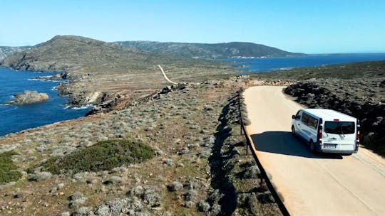 Minivan-Tagestour zum Asinara-Nationalpark von Stintino