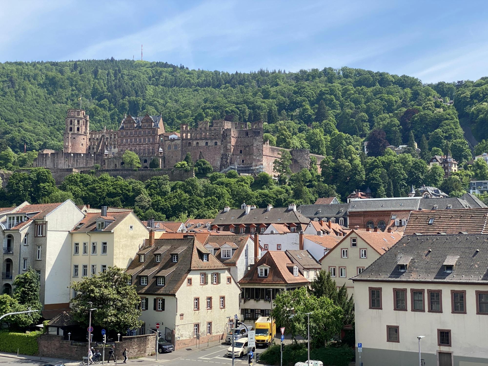 Heidelberg e Baden Baden da Strasburgo