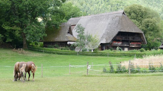 Tour di un giorno nella Foresta Nera da Strasburgo