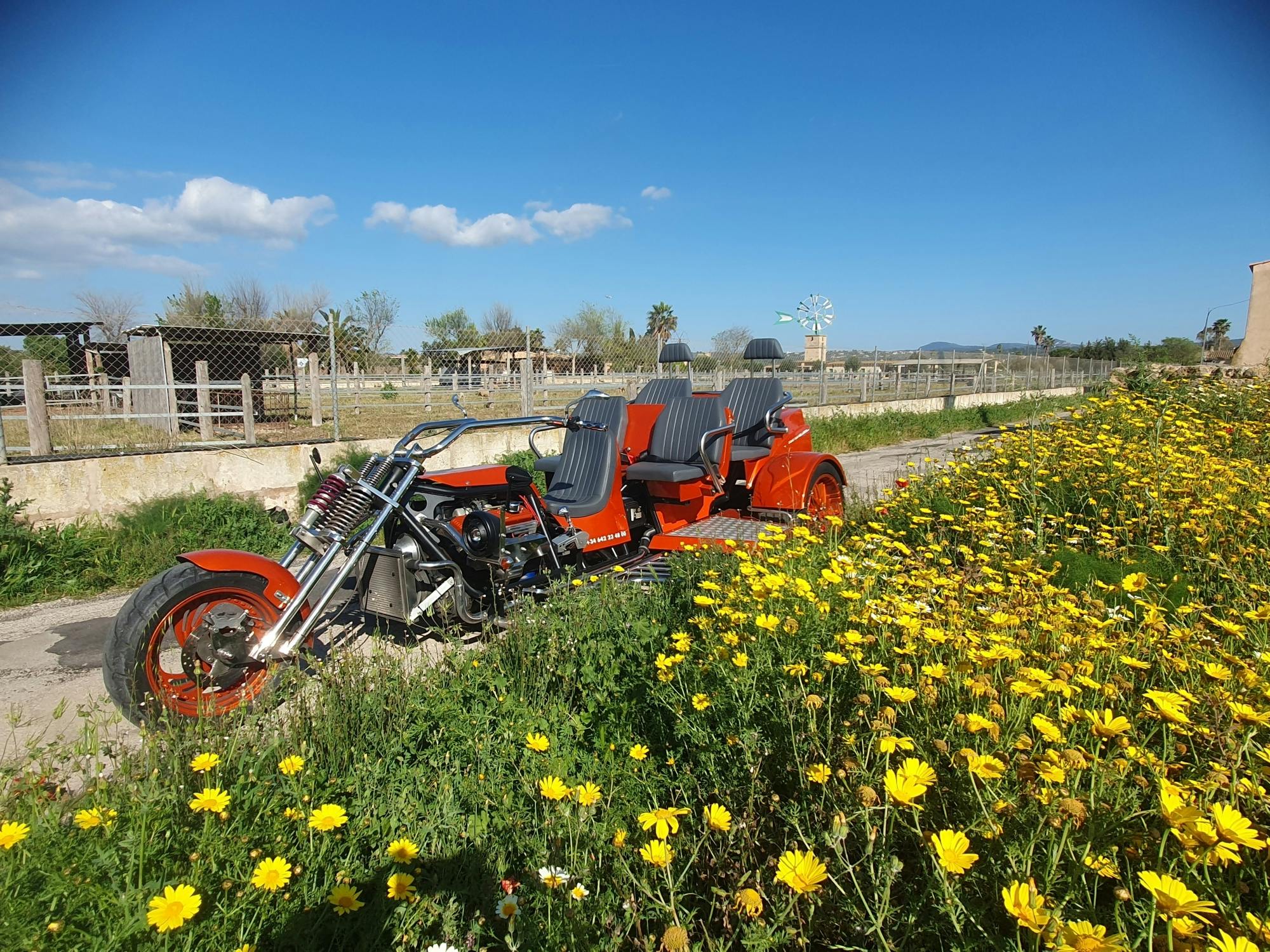 Majorcan mountains, sea and countryside trike tour