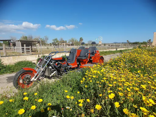 Majorcan mountains, sea and countryside trike tour