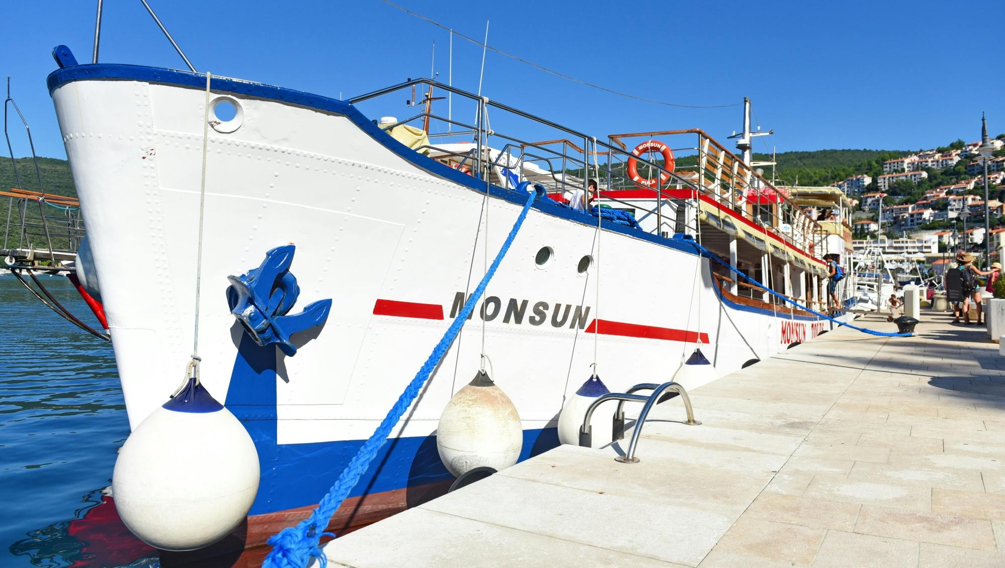 Cres Island boat trip with barbecue lunch and swim stop
