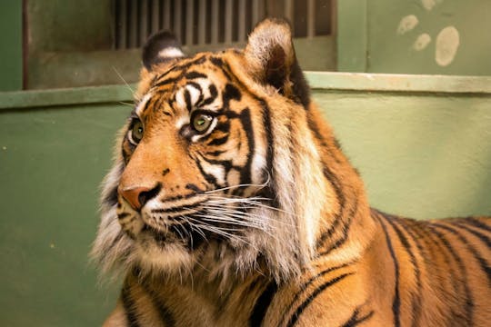 Bilhete para o Jardim Zoológico de Praga com guia áudio online