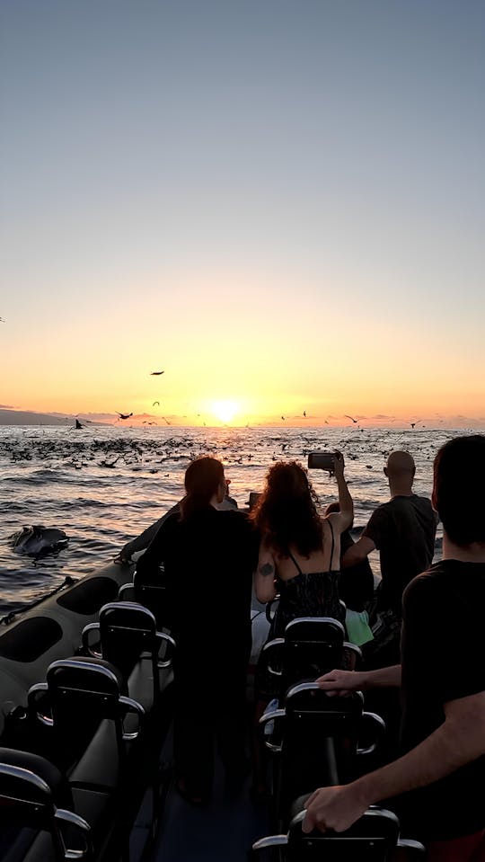 Goldene Bootstour am Kap Cintrao