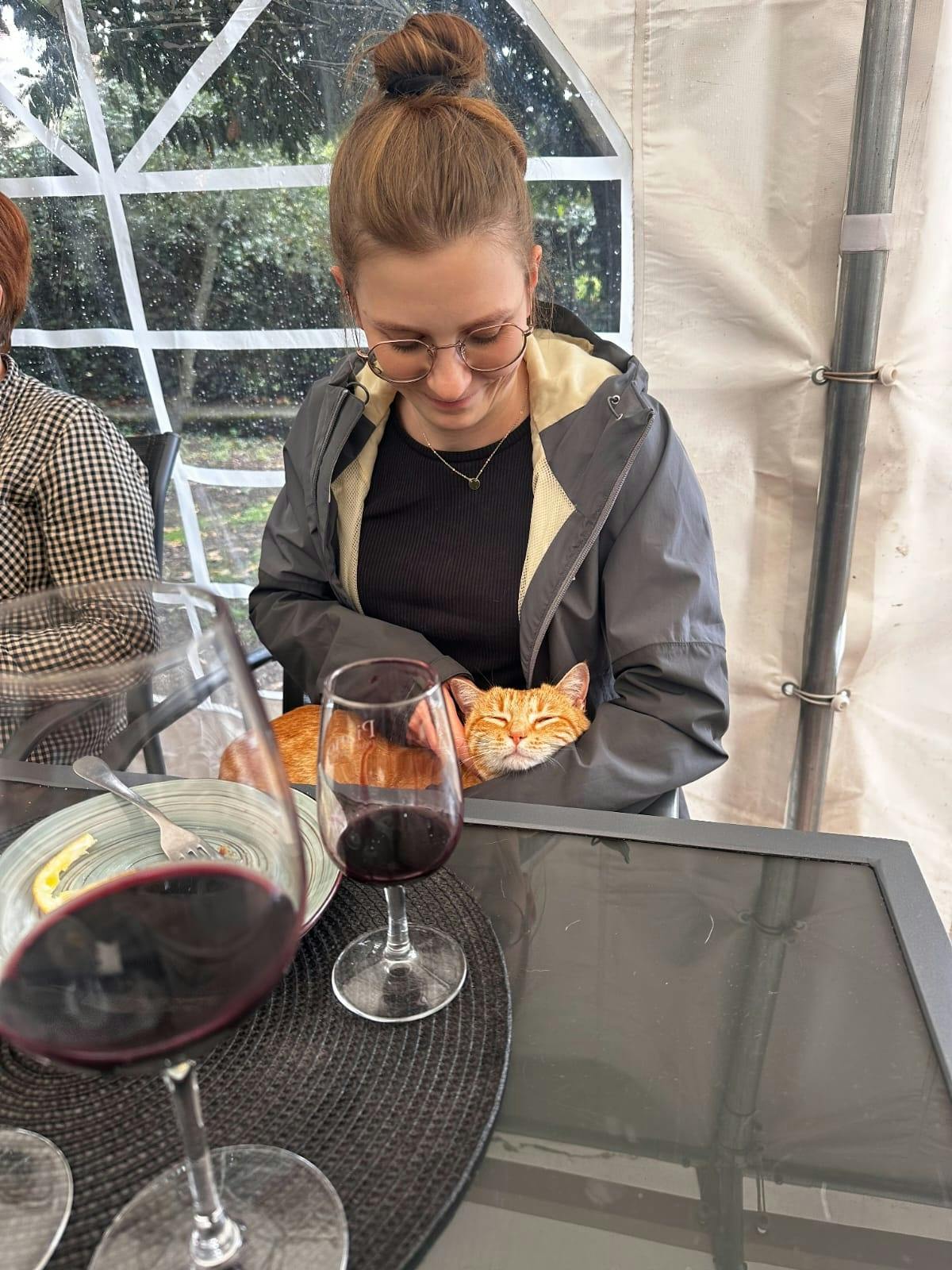 2026033069ca73a555cea.jfif