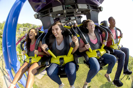 Billet d'une journée pour Kings Island
