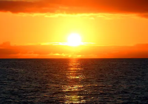 Madeira Living Sea Sunset Cruise with Dinner