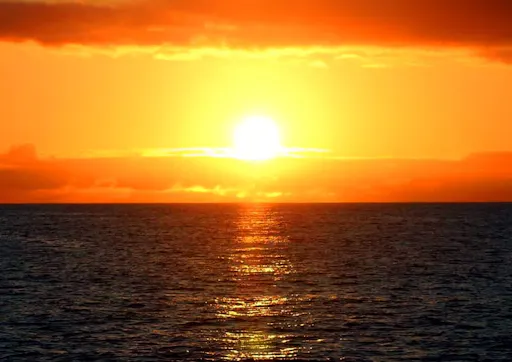 Madeira Living Sea Sunset Cruise with Dinner