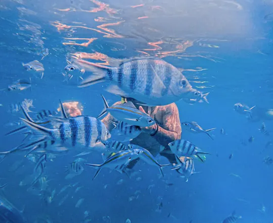 Experiência de snorkelling e pesca divertida nas 3 ilhas de Koh Chang